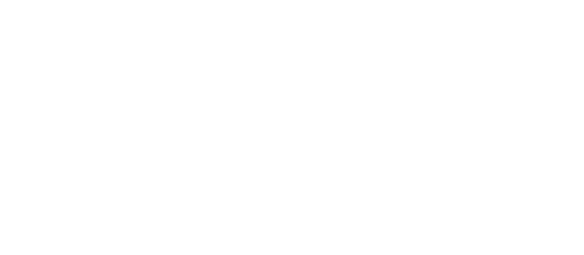 FJX 1 1
